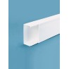 GOULOTTE BLANCHE TAE 80/1X60 1C (PRIX AU METRE) 2M