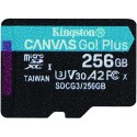 CARTE MICROSDXC 256GB