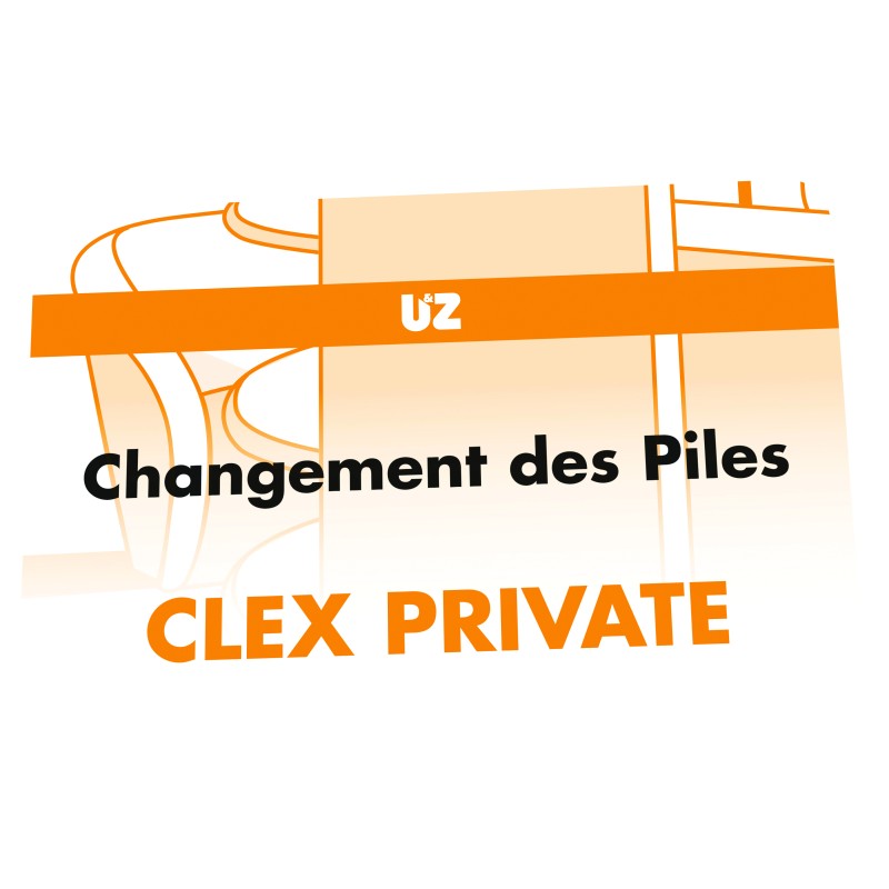 CX2320 CARTE DE CHANGEMENT DE PILES POUR CYLINDRES