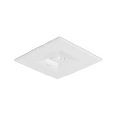 BAES AMBIANCE SERIE D LED...