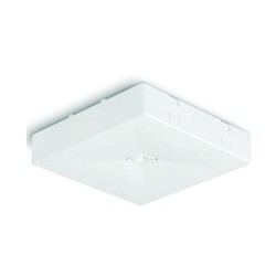 BAES AMBIANCE SERIE R LED...