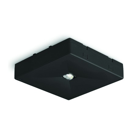 BAES AMBIANCE SERIE R LED NOIR 345LM CLASSE II 230V 50HZ