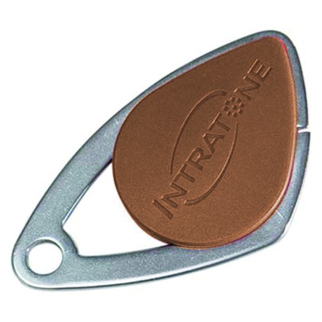 BADGE VIGIK INSERT INOX MARRON