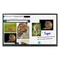 Ecran Tact. & Collaboratif 65\'\' IPS, 4K, 350cd, USB, HDMI, RJ45, WiFi, supp. Inc