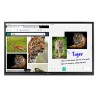 Ecran Tact. & Collaboratif 65" IPS, 4K, 350cd, USB, HDMI, RJ45, WiFi, supp. Incl