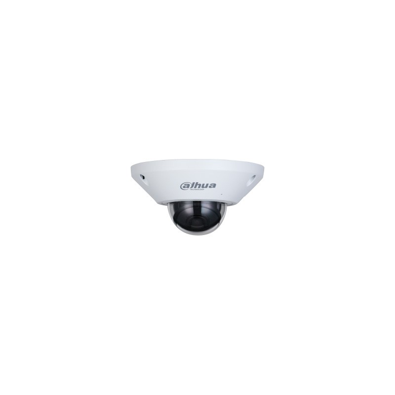 FISHEYE AI IP 5MP 180° WIZMIND WDR120 SD ALARM AUDIO IP67 POE/12V