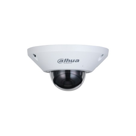 FISHEYE AI IP 5MP 180° WIZMIND WDR120 SD ALARM AUDIO IP67 POE/12V