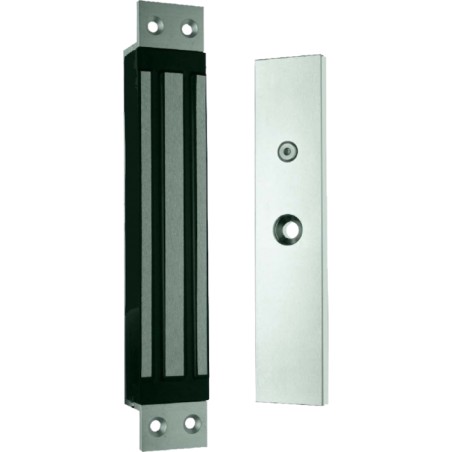 VENT.3000N ENC.38MM AS 12/24/48 NFS en 24/48V