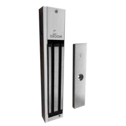 Ventouse 300 kg 12/24V en...