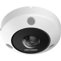 FISHEYE IP 12MP 1.29MM DEEPINVIEW IMMERVISION MIC/ALARM IP67/IK10 12V/POE