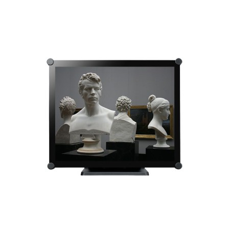 19'' TACTILE PCAP LED VGA HDMI DP 300CD 3MS IP65 FACE AVANT SUP. ERGO. 24/7