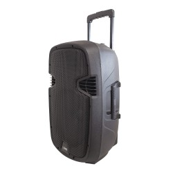 Sono portable 40W Bluetoot avec micro HF et télécommande