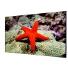 55'' MUR D'IMAGE 3.5MM FHD LED DP HDMI IN/OUT 500CD 8MS 178°(H/V) METAL 24/7
