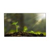 55'' MUR D'IMAGE 3.5MM FHD LED HDMI/BNC 500CD 8MS 178°(H/V) METAL 24/7