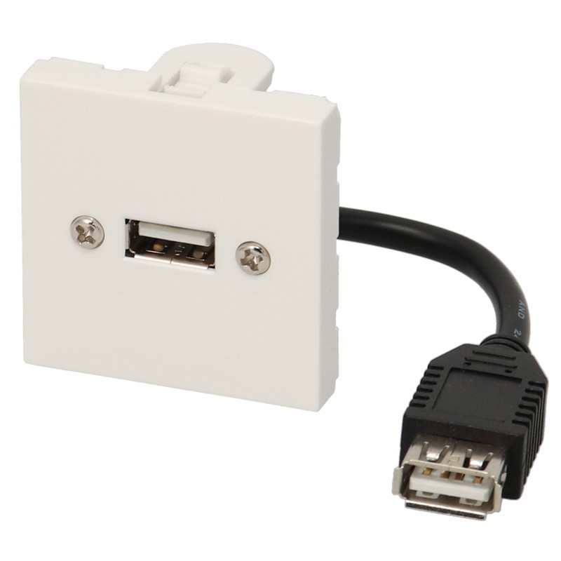 Plastron - 0m10 - câblé 2 modules - USB-A 2.0 + raccord F - 480 mbps - 45x45 mm