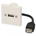 Plastron - 0m10 - câblé 2 modules - USB-A 2.0 + raccord F - 480 mbps - 45x45 mm