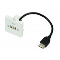Plastron câblé 2 modules - USB-A 3.2 gen 1 - obturateur LEGRAND - 45x45mm - 0m20