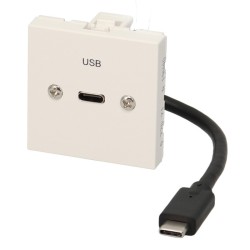 Plastron câblé 2 modules - USB-C 3.2 gen 1 - obturateur LEGRAND - 45x45mm- 0m20