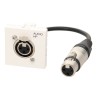 Plastron câblé 2 modules XLR 3b + raccord F - obturateur LEGRAND - 0m20