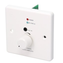 Plaque audio murale -...