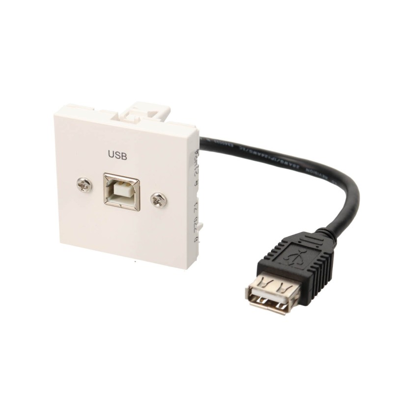 Plastron câblé 2 modules USB B / USB A + raccord F - obturateur LEGRAND- 0m20