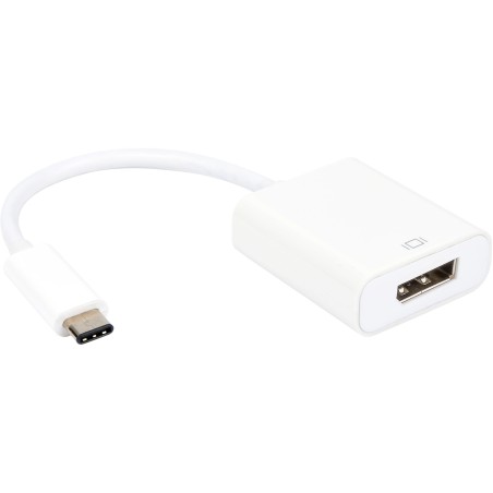 Convertisseur USB 3.2 gen 1 - C M vers DisplayPort 1.2 F - plug & play - 15cm