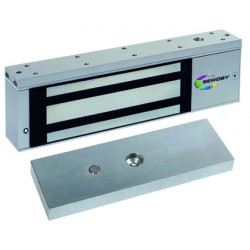 VENTOUSE APPLIQUE 500 KG 24 DC NF S 61937