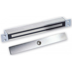 VENTOUSE FINE 300 KG ENCASTREE 12/24 V