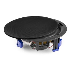HP PA,8'',100V, 2 voies- NCSP8B