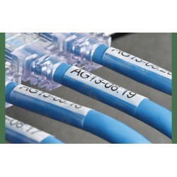 Ruban TZeSL251, 24mm Noir sur fond Blanc, Auto-Laminé, 8M