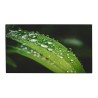 MONITEUR 46'' MUR D'IMAGE 1.7MM FHD LED HDMI/DP 500CD 8MS 178°(H/V) METAL 24/7
