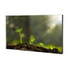 55'' MUR D'IMAGE 3.5MM FHD LED HDMI/BNC 500CD 8MS 178°(H/V) METAL 24/7