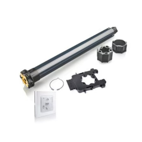 Moteur volet roulant Somfy S&SO RS100 IO Radio 10Nm 1242085