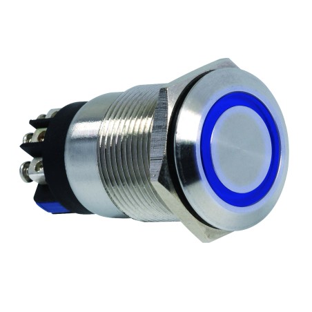 BP INOX BLEU 19MM NO+NC 12V DC BORNIER A VIS