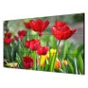 ECRAN 49'' MUR D'IMAGE 3.5MM FHD LED DP HDMI IN/OUT 500CD 178°(H/V) METAL 24/7