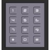 MODULE DIGICODE ALU/ANTHRACITE IP65/IK07