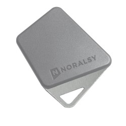 Badge mifare format clé gris code site Noralsy