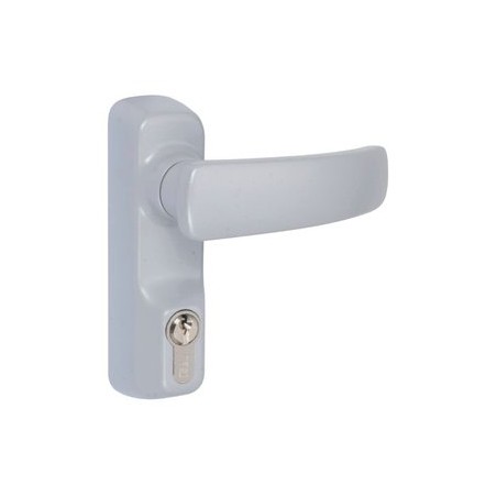 Poignée bequille + cyl . grand modele gris metal