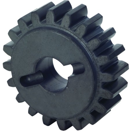 PIGNON Z20 CREM. UNIVERSEL