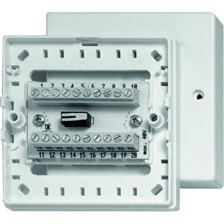 BOITE DE DERIVATION ABS AUTOPROTEGEE 2X10 BORNIERS A VIS