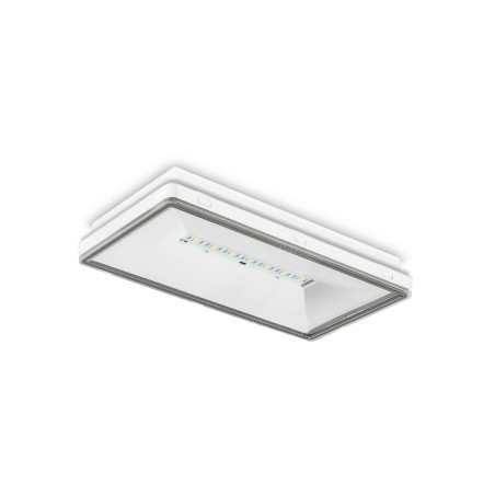 BAES AMBIANCE SERIE S 390LM ANTI PANIQUE SATI LED IP65 IK08