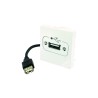 PLASTRON USB A FEMELLE-FEMELLE 2 MODULES 0.2M