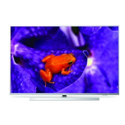 TELE PRO 43'' UHD MEDIA SUITE METAL VESA 200X200 ANDROID P