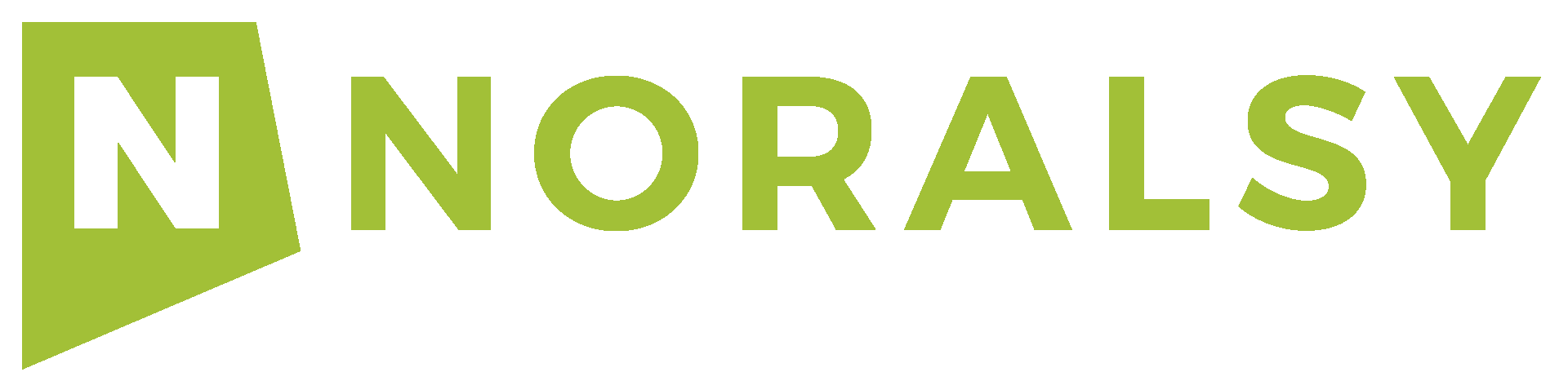 LOGO NORALSY